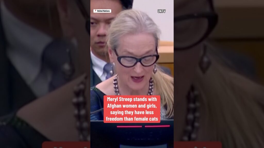 Meryl Streep addresses U.N. General Assembly #shorts