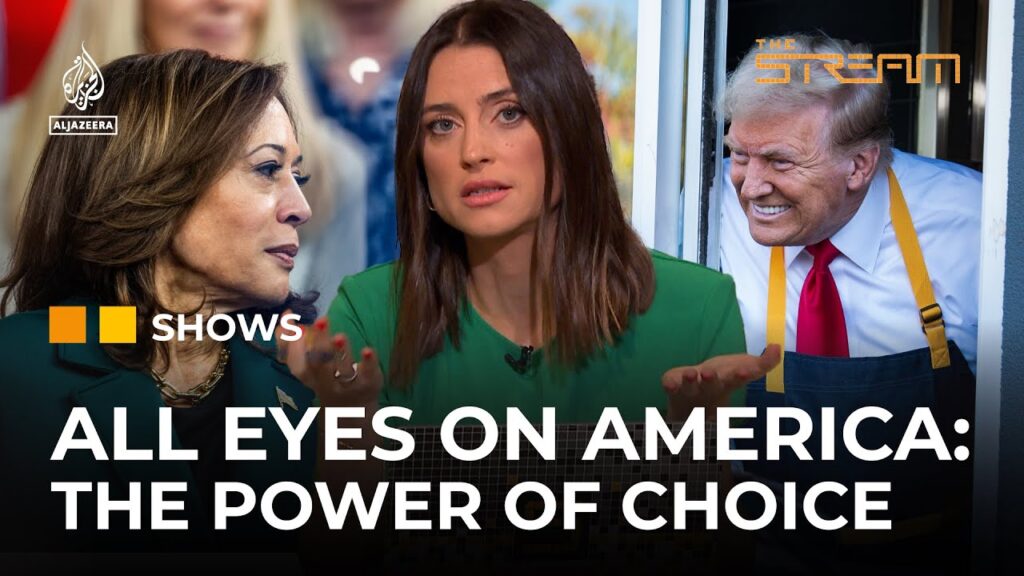 What issues are Americans facing this election? | The Stream