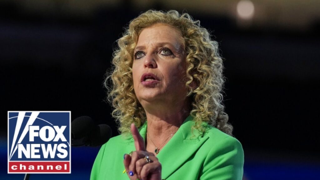 ‘NOT BUYING’ IT: Democrat called out over outlandish election loss claim