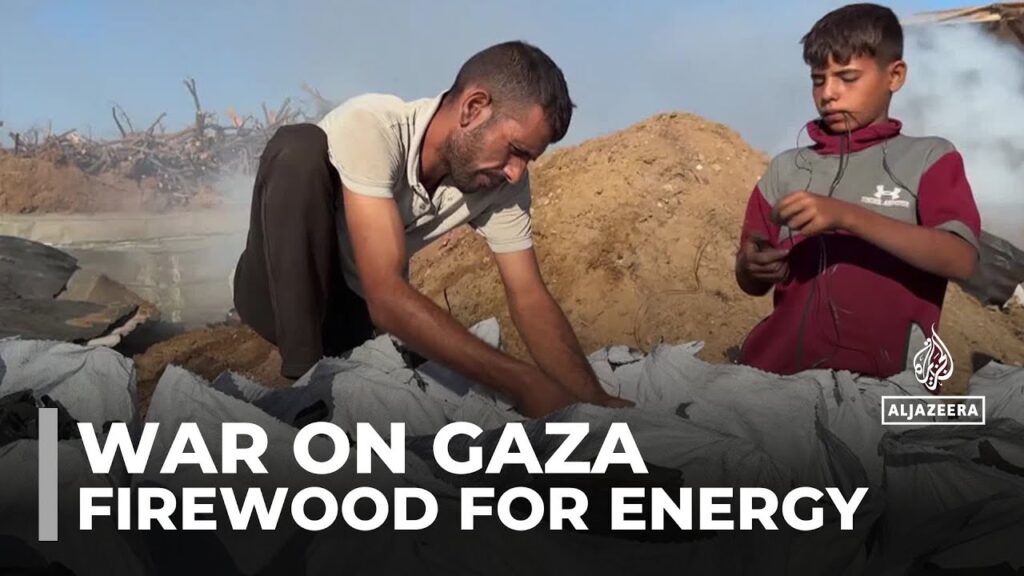 Life without power: Palestinians in Gaza turning to firewood for energy