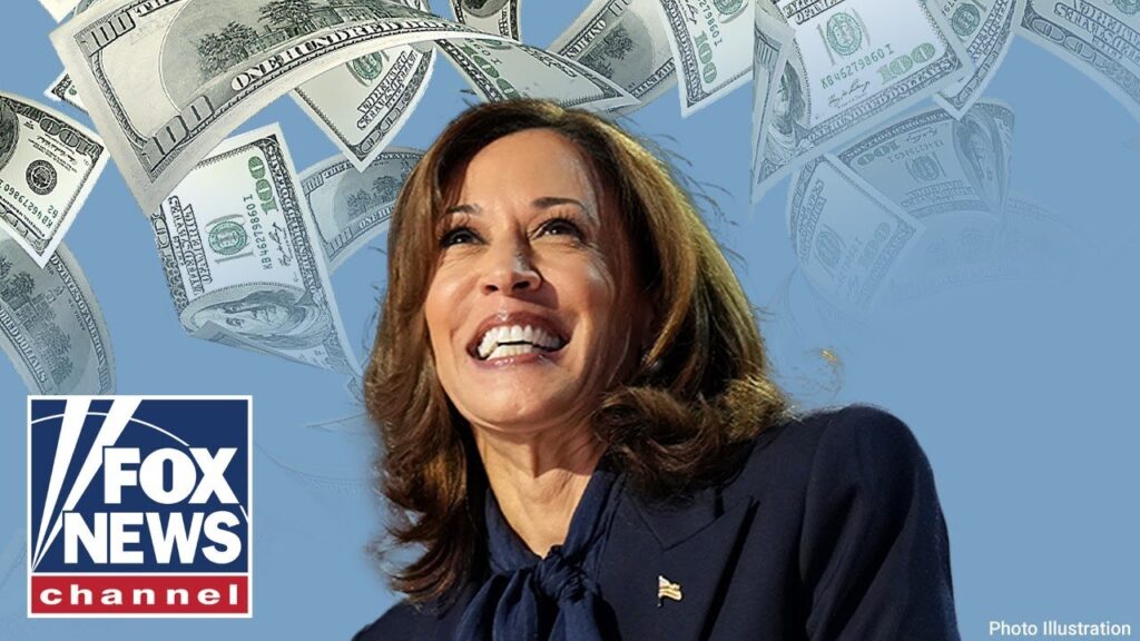 How did the Harris campaign spend its war chest in the final days of the 2024 race?