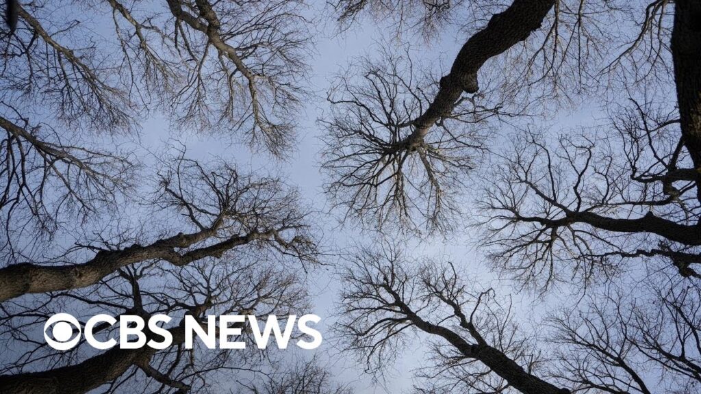 United Nations General Assembly focus on climate solutions