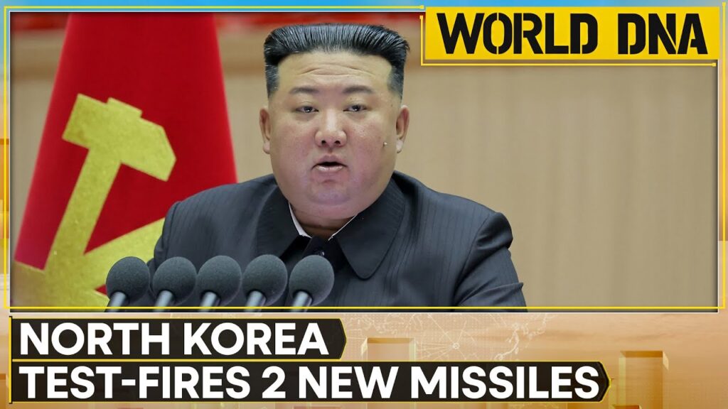 North Korea Missile Test: Kim Jong Un Unveils New Air Defense Missiles | WION World DNA