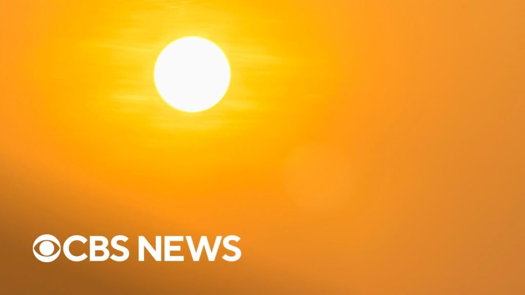 Earth saw its hottest summer on record in 2024, data shows