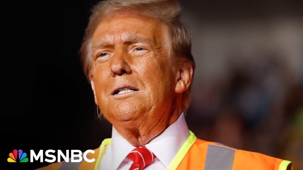 ‘Petty tyrant’: Panel reacts to Trump’s continued ‘vile’ rhetoric towards Harris