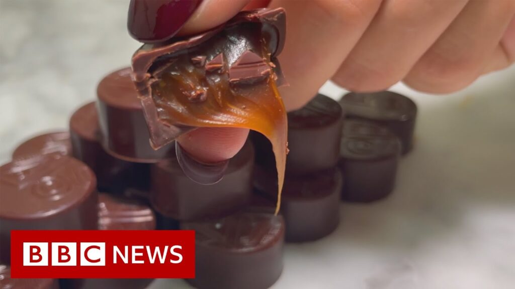 Can you replace cocoa in chocolate? – BBC News
