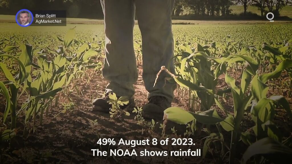 US Farmers Face Tough Growing Season | Presented by CME Group