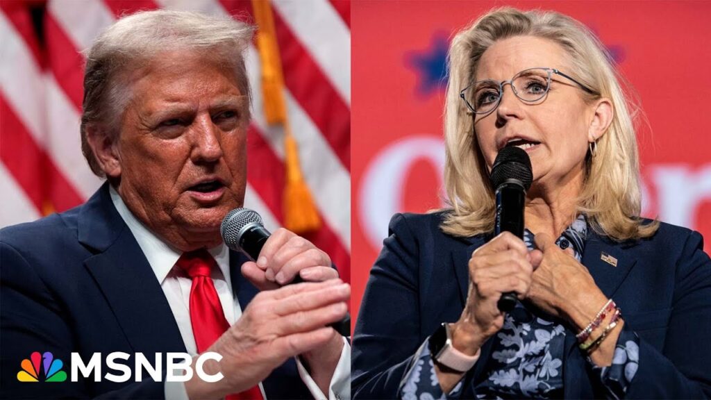 Trump attacks Liz Cheney, says she wouldn’t be such a ‘war hawk’ if she had guns pointed at her