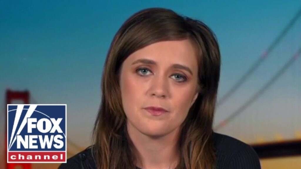‘THEY DON’T GET IT’: Former Dem fundraiser says party turned its back on Americans