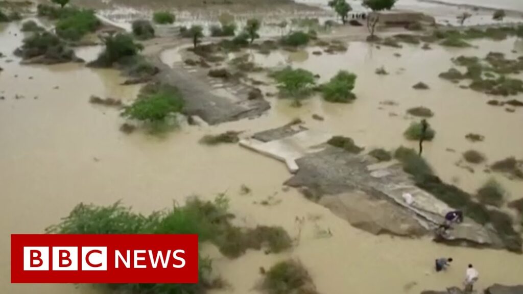 Pakistan flood victims struggle to access food and water as death toll rises – BBC News