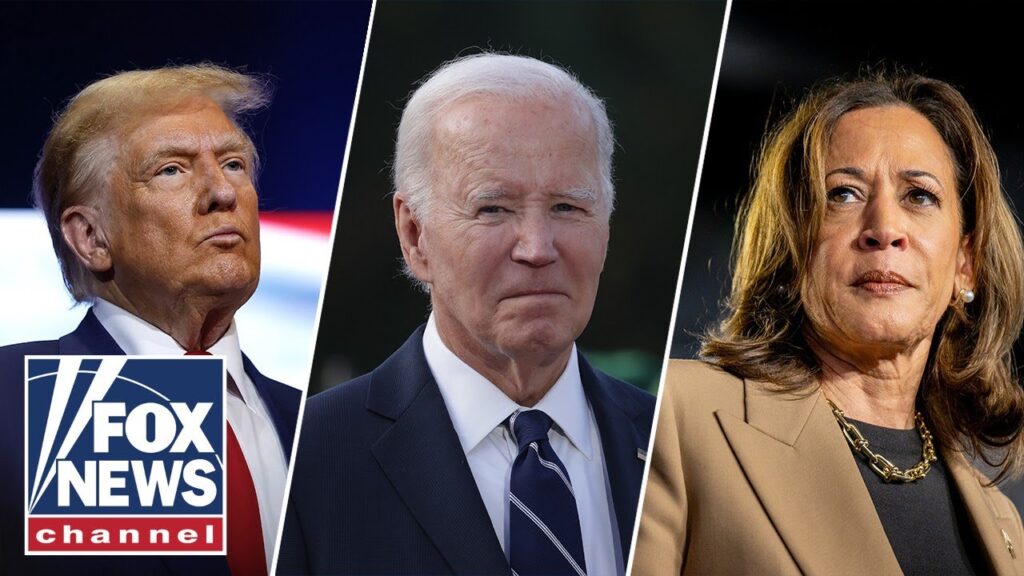 Dem who ran against Biden: This is the day the election was lost