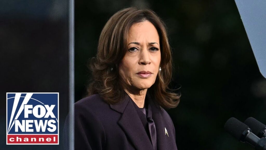 Dems’ blame game on Kamala Harris’ loss in full swing: ‘Ivory-tower nonsense’