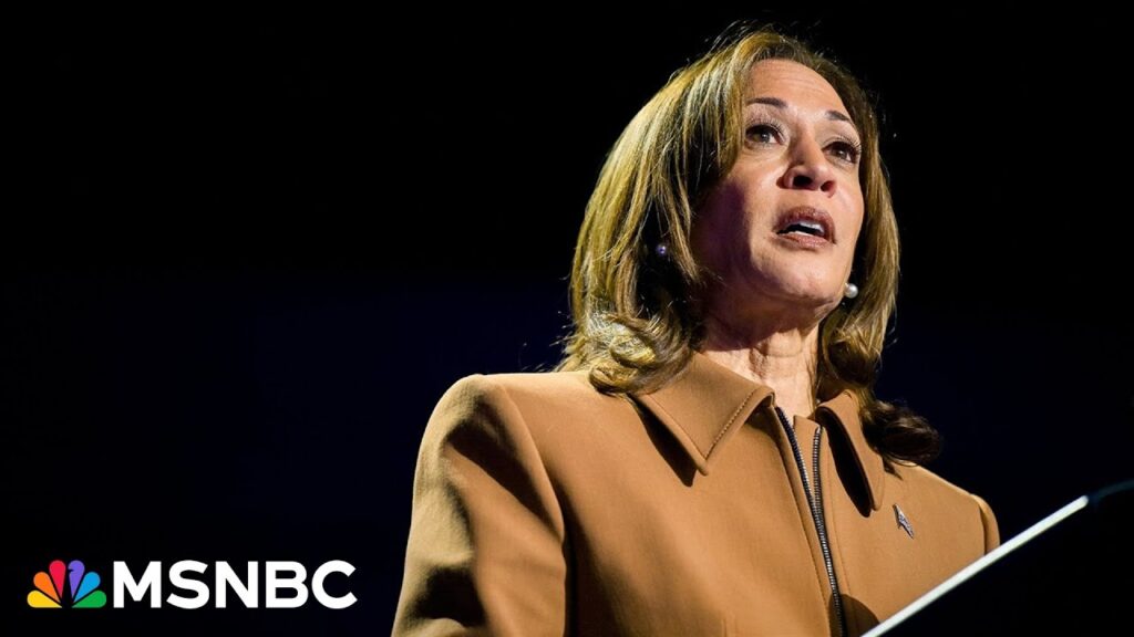 LIVE: Kamala Harris blitz across Michigan hits hard on manufacturing, unions