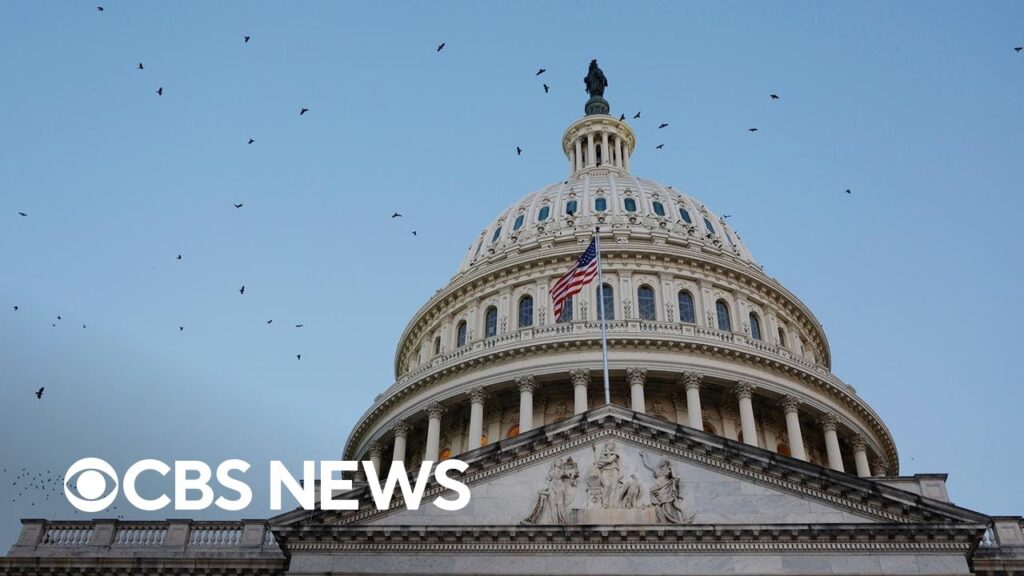 Senate to vote on federal IVF protections