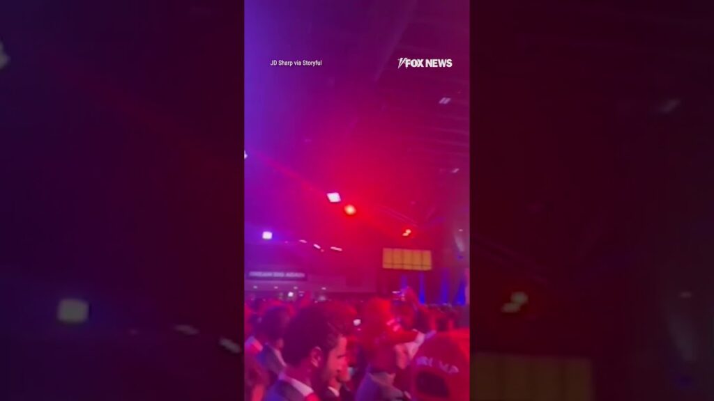 Trump supporters erupt into cheers when FOX News projects the former president will win the election