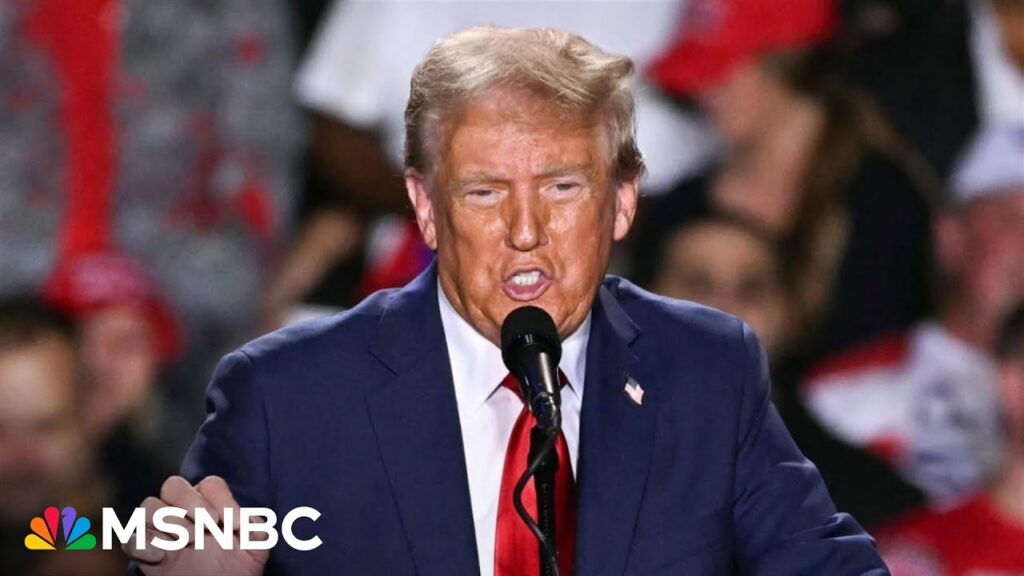 Trump would ‘overthrow the Constitution if it gets in his way’ if re-elected: Fmr. DHS official