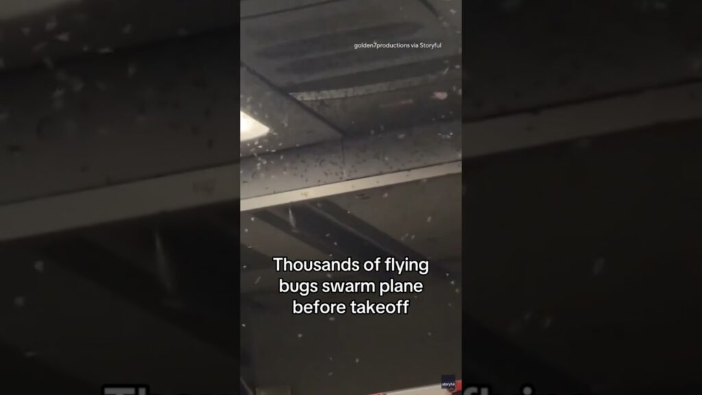 Thousands of bugs swarm plane before takeoff #shorts