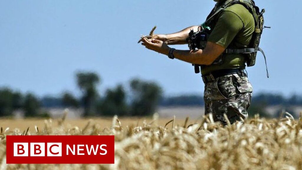 Why does the world need grain to be shipped from Ukraine? – BBC News