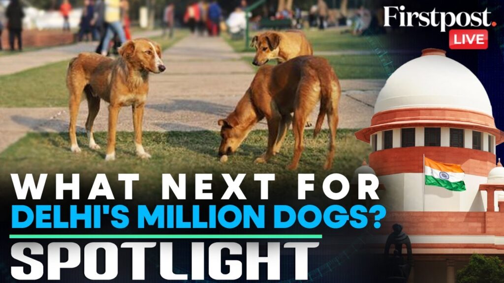 LIVE: Supreme Court Orders Stray Dog Relocation Out of Delhi-NCR | Firstpost Spotlight | N18G
