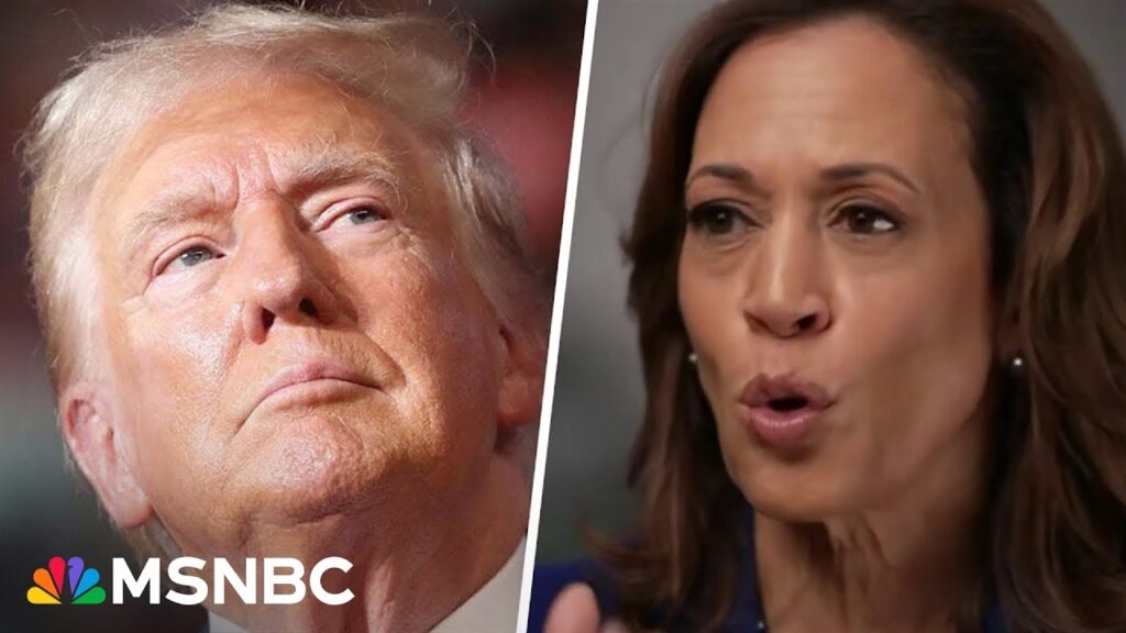 Difference between Trump & Harris presidency is ‘life and death’: Michigan Dem Party Chair