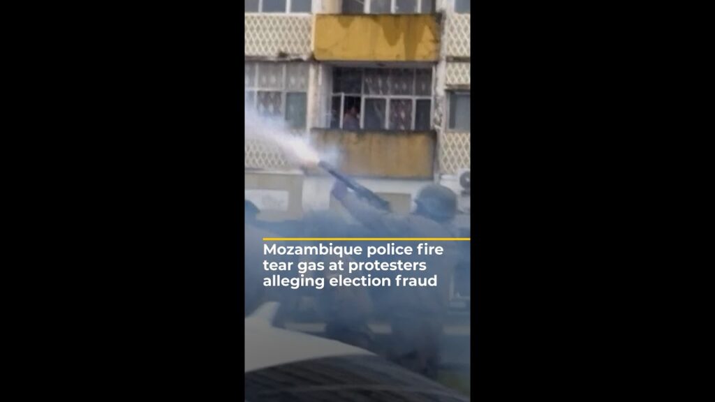 Mozambique police crack down on protesters alleging election fraud | AJ #shorts