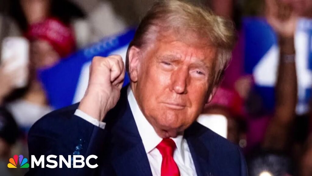 Trump’s legal team ‘flooding the zone’ ahead of 2024 Election to create the next ‘Big Lie’