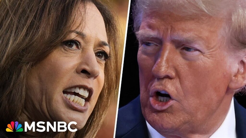 Does Harris’ ‘threat to democracy’ rhetoric work against Trump? Our panel reacts