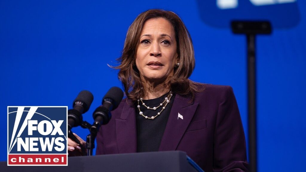Harris delivers remarks at a campaign rally in Pennsylvania