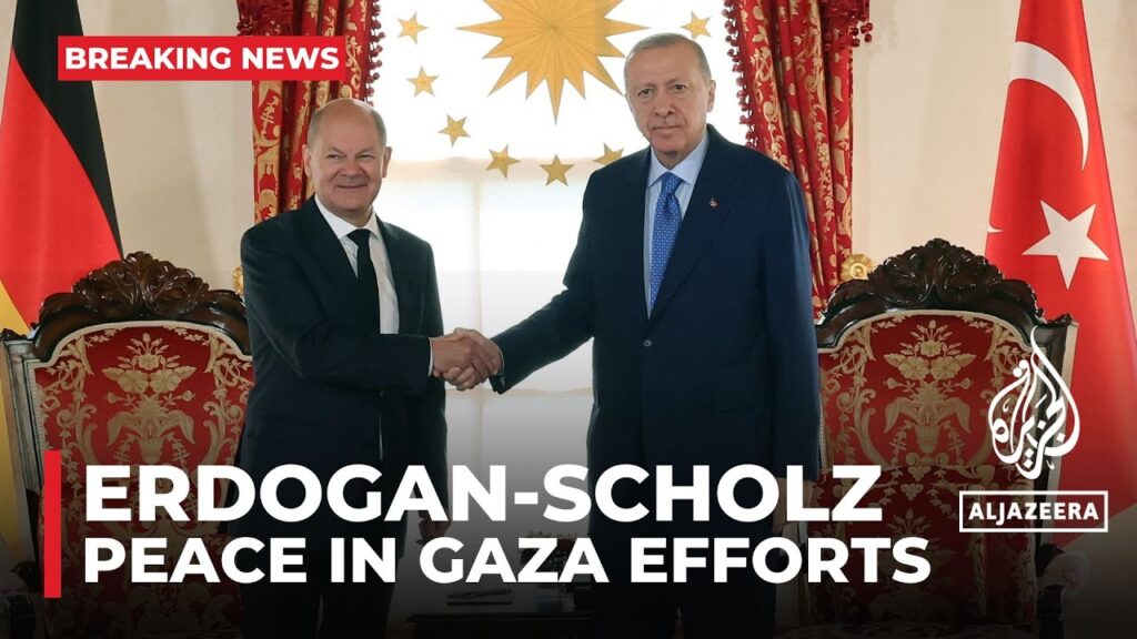 ‘All genocides in Gaza and Lebanon should stop’: Erdogan