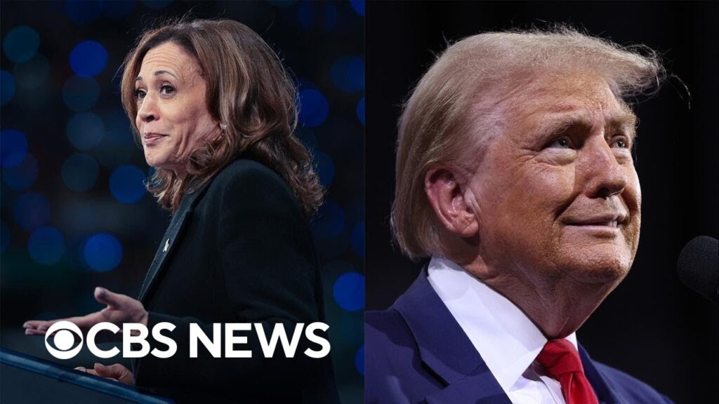 Harris, Trump tout tax cut plans as Trump says no to debate rematch