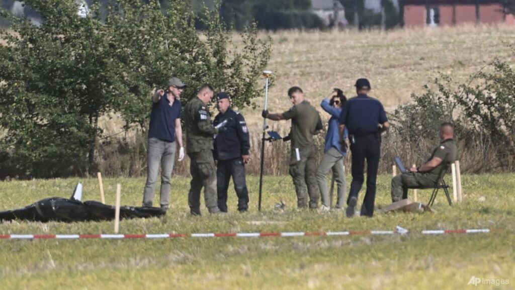 Poland says UN Security Council will meet on drone incursions