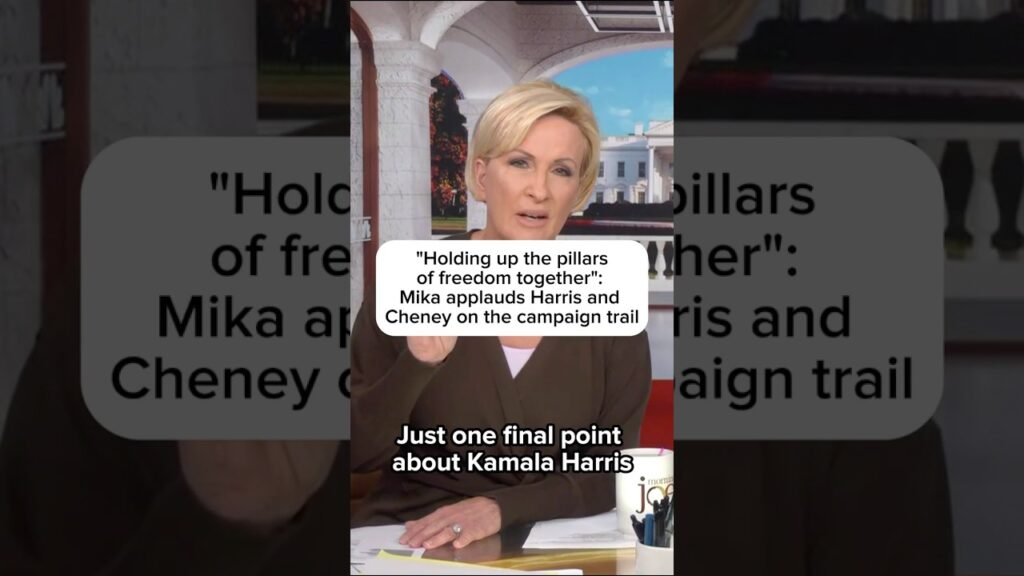 ‘Holding up the pillars of freedom together”: Mika applauds Harris and Cheney on campaign trail