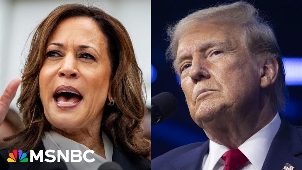 When will election results come in? Report says we may not know Election Night