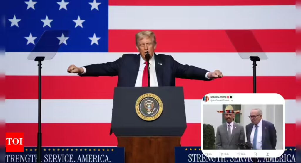 Troller-in-chief Donald Trump on a roll as social media dumpster fire consumes US