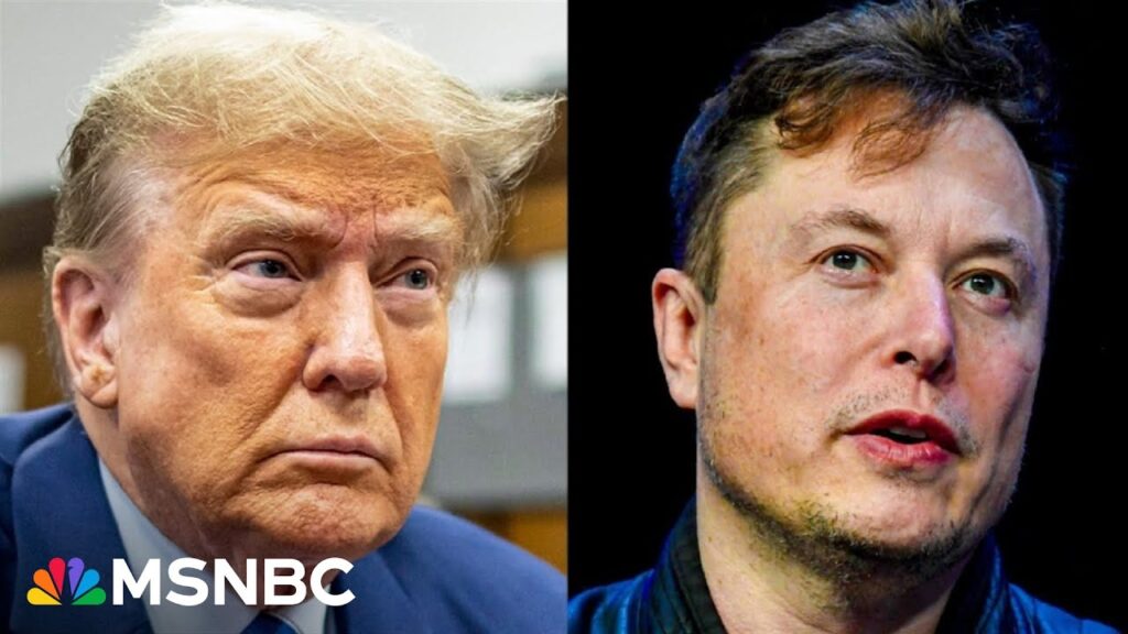 ‘Huge potential’ for Musk to use Trump’s power to serve his own interests if elected