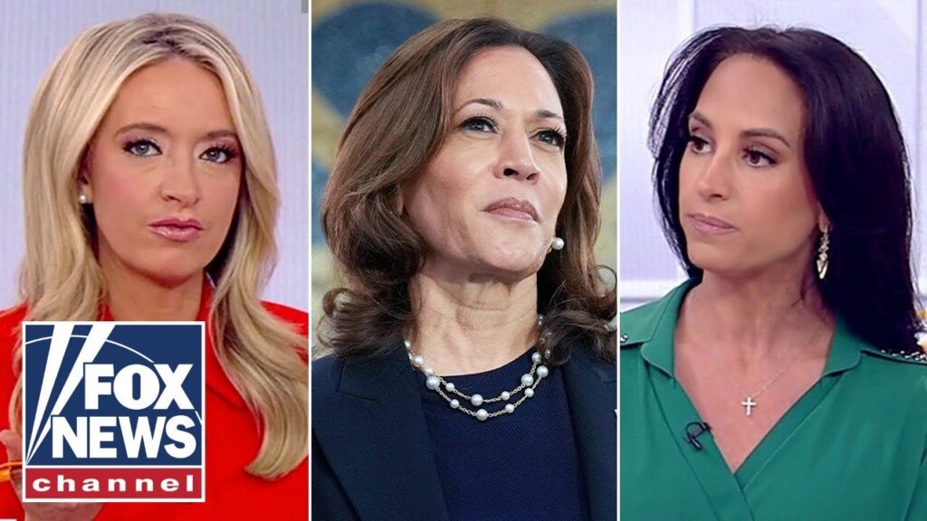‘SHALLOW’: Kamala Harris ripped over latest push for unity