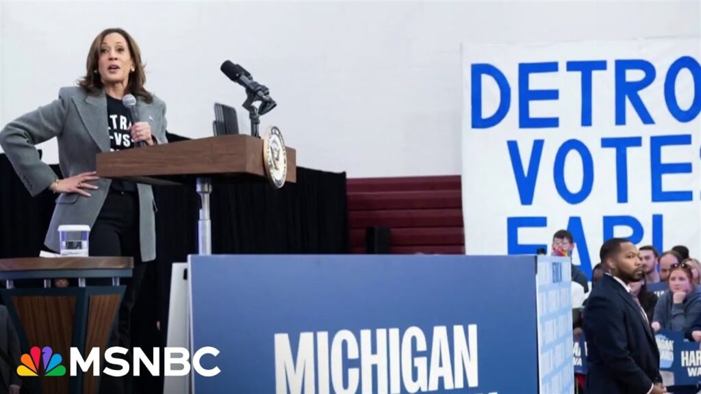 WI Dem Chair says effort to elect Harris is ‘all gas, no brakes’