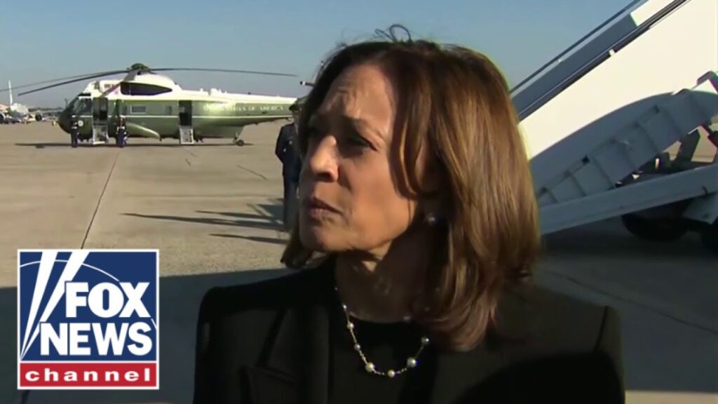 Harris responds to Biden’s ‘garbage’ insult: ‘I strongly disagree’