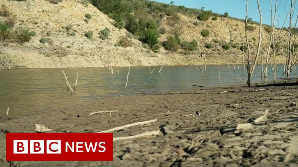 South African town running out of water – BBC News
