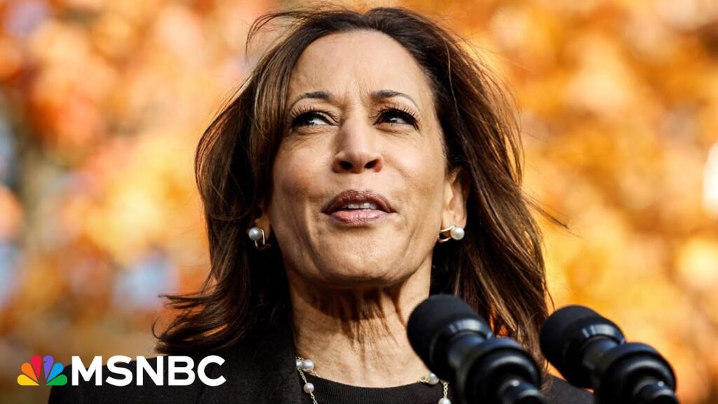 ‘He makes big promises…and always fails to deliver’: Harris calls out Trump’s manufacturing record