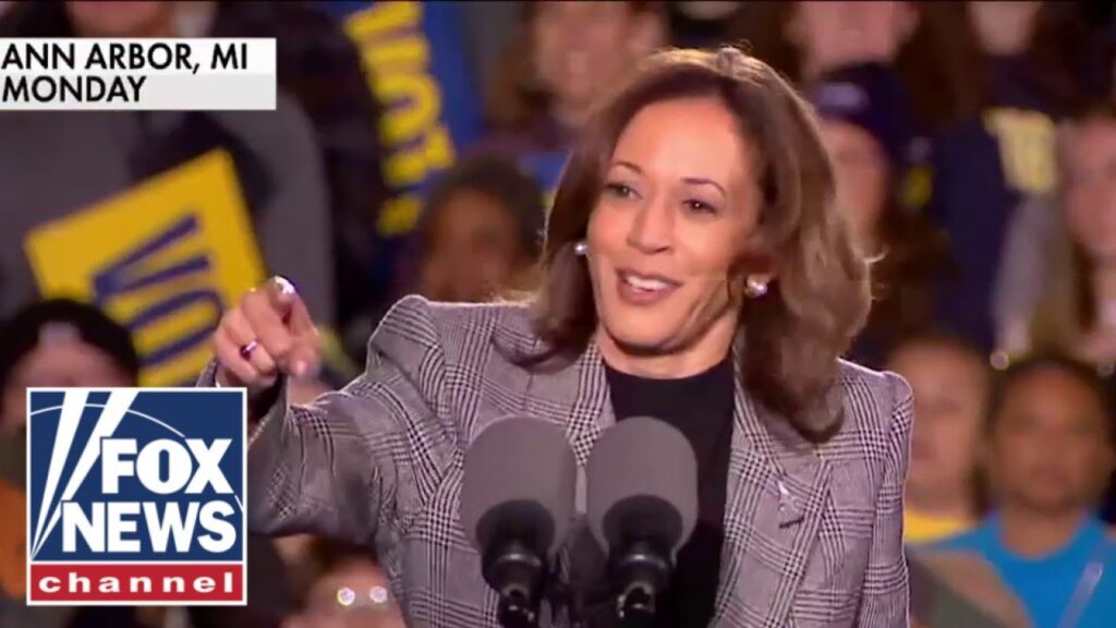 Kamala Harris’ ‘cringy’ moment on the campaign trail: ‘Ouch’