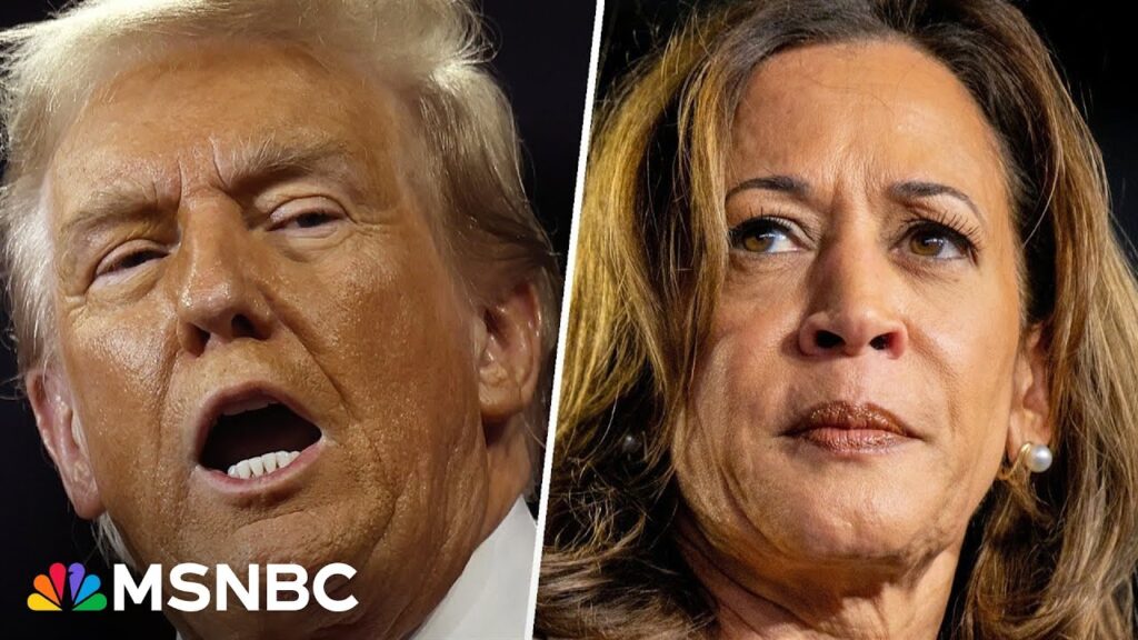 Disciplined Harris should be ‘refreshing’ compared to ‘chaotic blubberings’ from Trump: Analyst