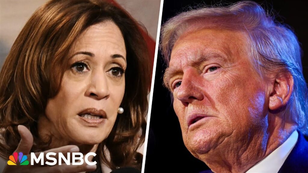Trump is ‘not the one’ to lecture people of color on how to vote: Harris campaign advisor