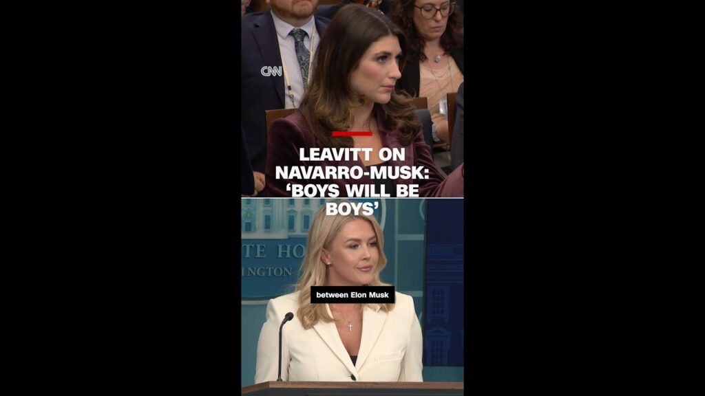Leavitt on Navarro-Musk: ‘boys will be boys’