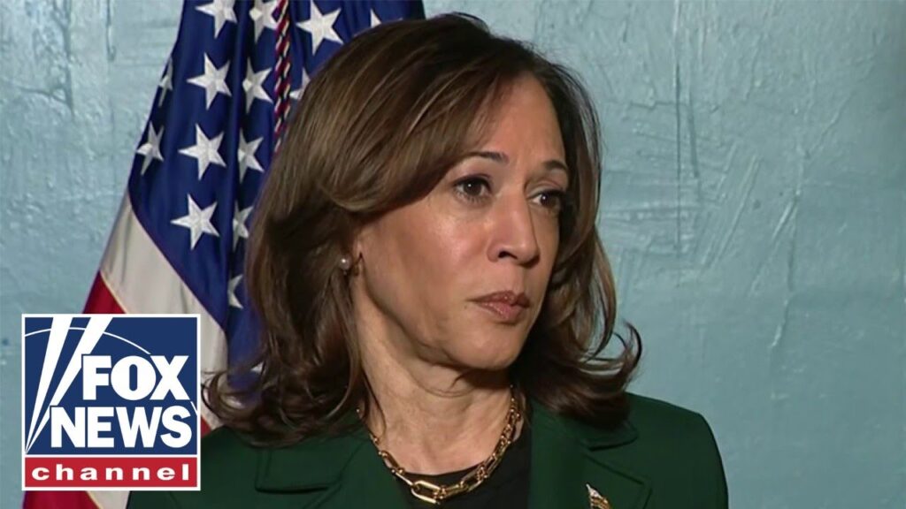 ‘BOILING CAULDRON’ OF HATE: Harris urged to stop ‘turning up’ heat with anti-Trump rhetoric