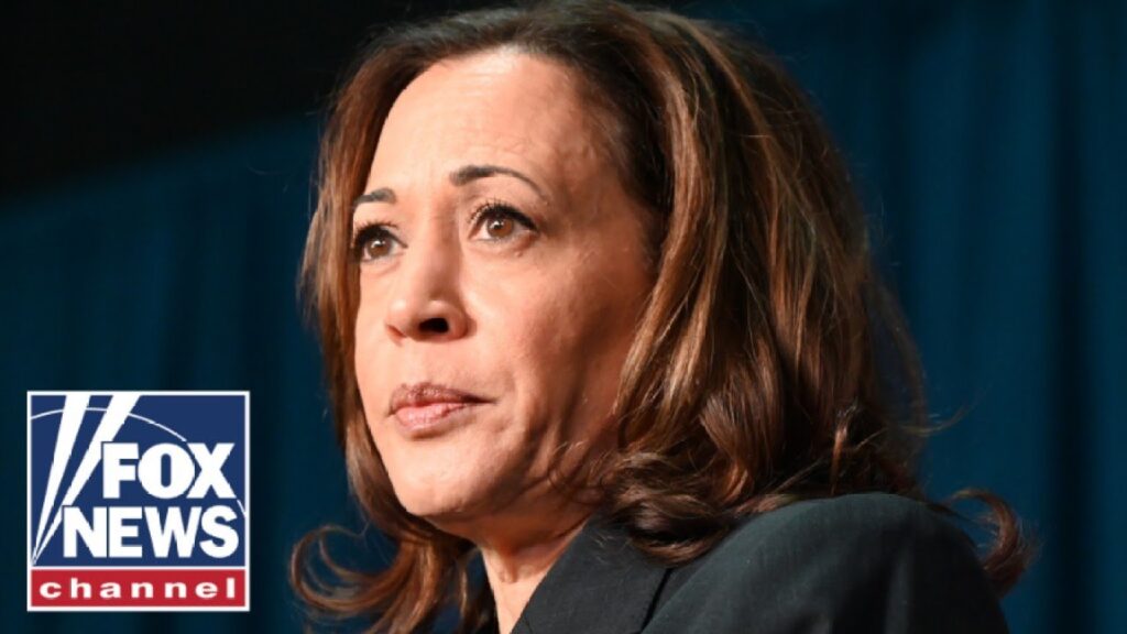 ‘YOU’RE LOSING’: Ex-Georgia rep gives telltale sign Harris support is dismal