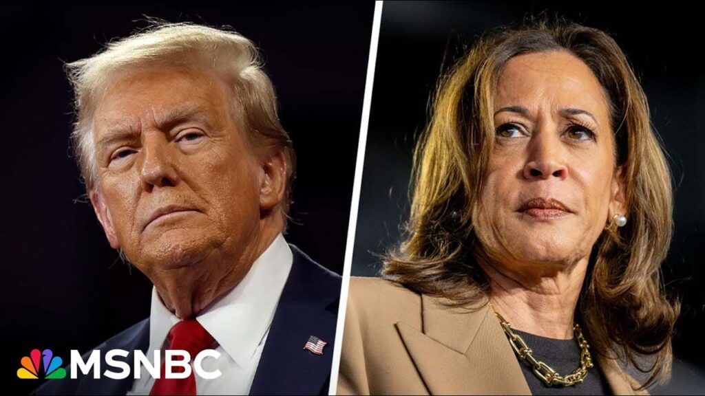 ‘Close races always come down to turnout’: Harris and Trump tied at 48 percent