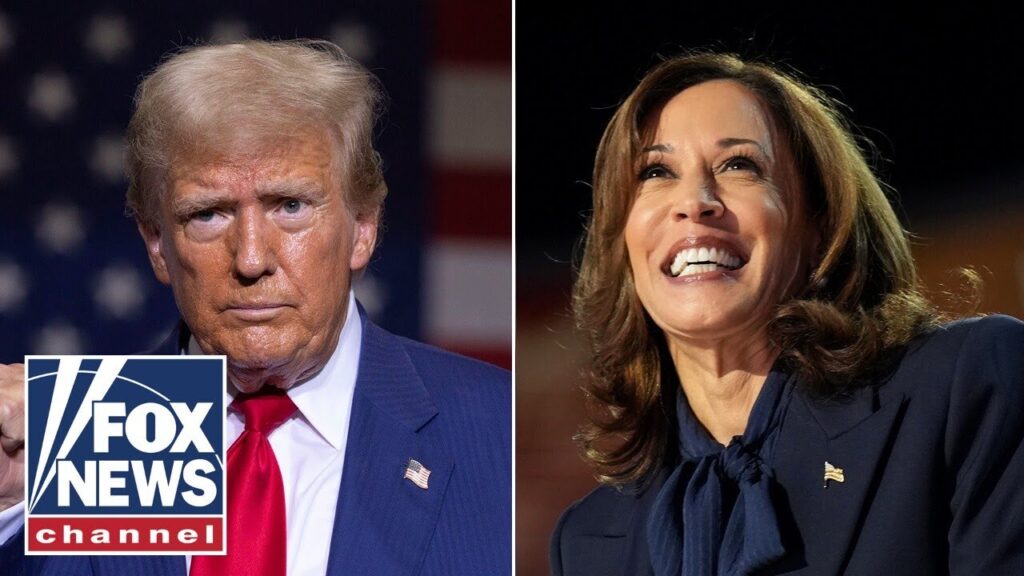 ‘How did we get here?’: Liberal pundits beginning to fear Trump win