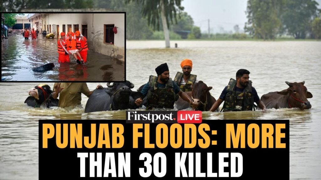 Punjab Floods LIVE: More Than 30 Dead as Flash Floods Ravage Punjab; Ravi, Beas, Sutlej Overflow