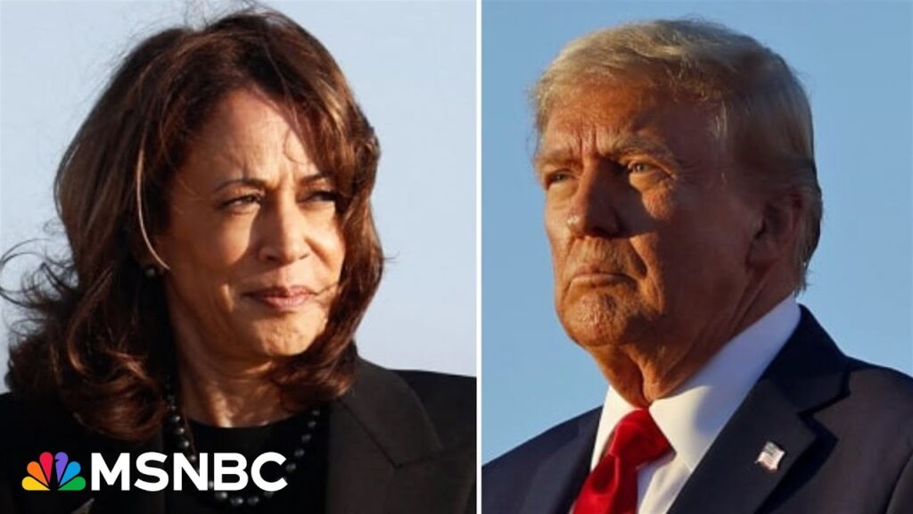 Trump only ‘has himself to blame’ for not competing with Harris’s fundraising ‘bonanza’: Analyst